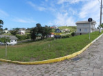 ampliada_1689