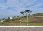 DSCN4230